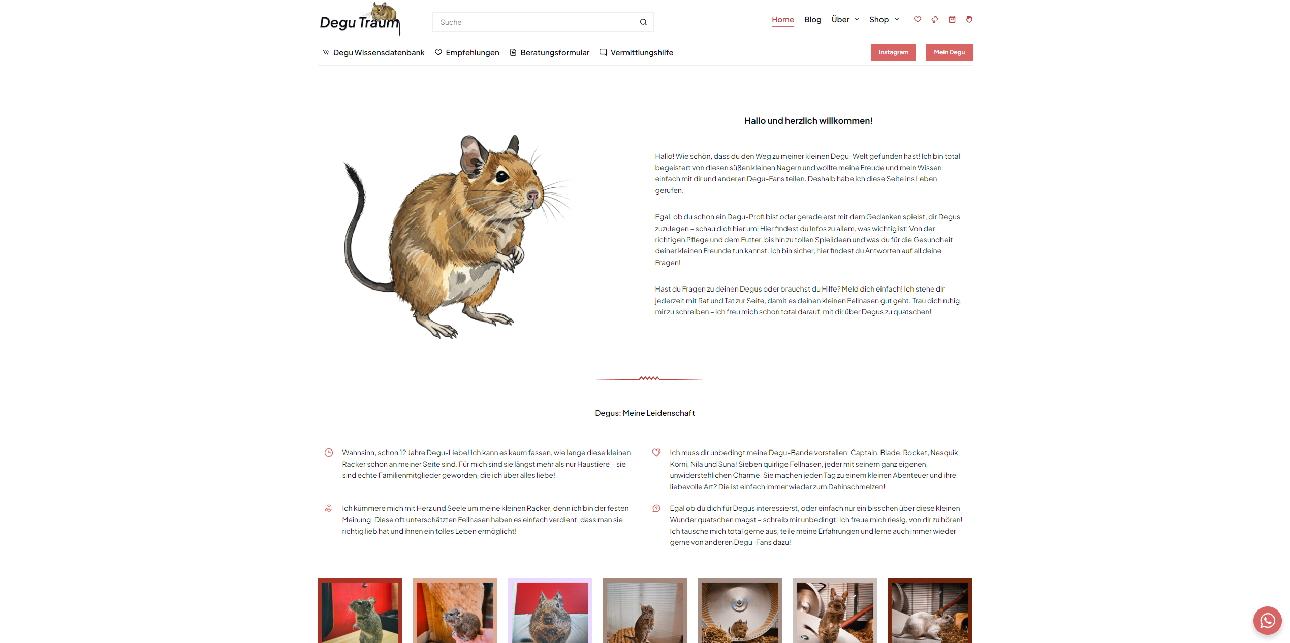 Degu Traum